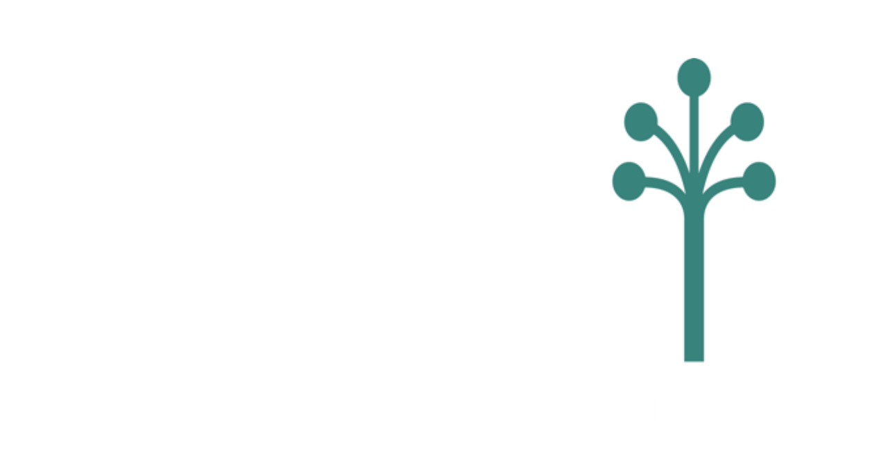 Citytwig
